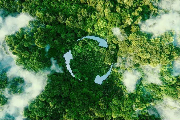Sustainable green forest